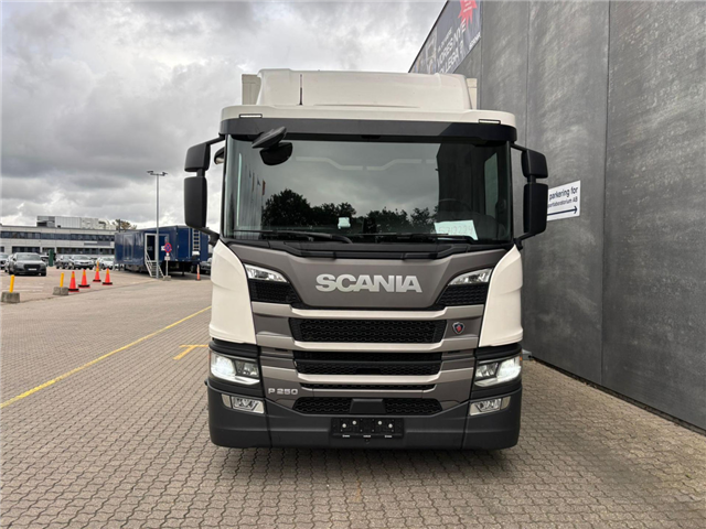 Scania P 250 B4x2NB Box/Lift