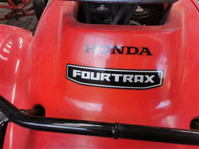Honda TRX 250 TM